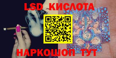 стаф Берёзовский