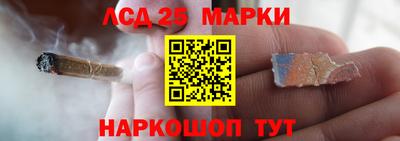 стаф Берёзовский