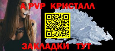 стаф Берёзовский