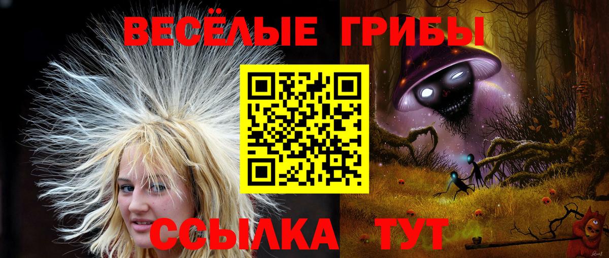 Галлюциногенные грибы MAGIC MUSHROOMS  Вход с VPN  Белогорск 