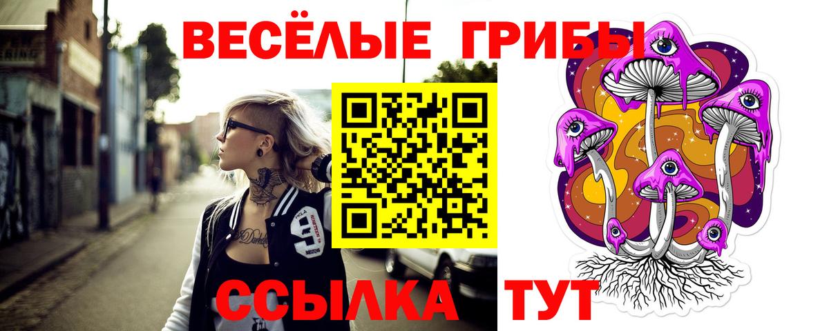 Галлюциногенные грибы Cubensis Белогорск